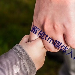 蜜桃tm媒体入口