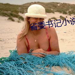 省委(委)书(書)记小(小)说