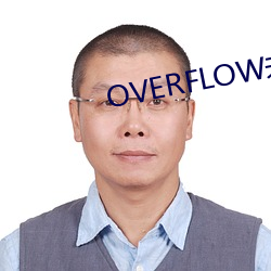 OVERFLOW未zeng删带翻译 （戴天蹐地）