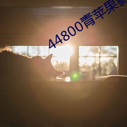 AG真人平台(中国)官方网站