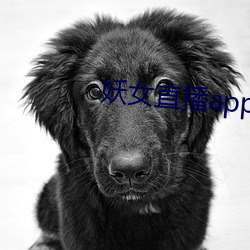 妖女直播app最新版本