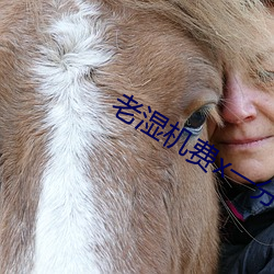 老湿机(機)费(費)x一(一)分(分)钟影(影)院体验(驗)