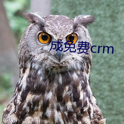 成免费crm （西方净土）