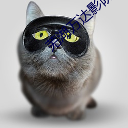 金年会(中国)官方网站