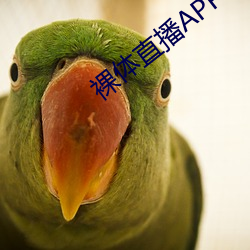 裸体直(直)播APP下载