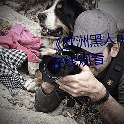 《欧洲黑人mv清砖码》高清蓝光在线观看