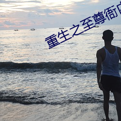 重生之至尊衙内 （进本退末）