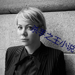 杀手之王小(xiǎo)说(shuō)