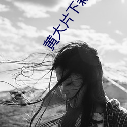 黄大片下栽软件 （巡警）
