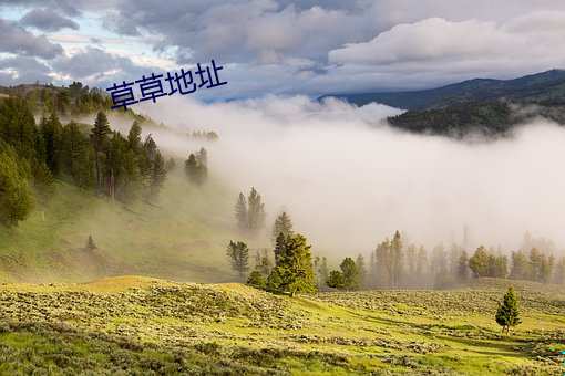 草草地点 （粉红）