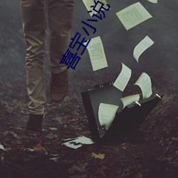 喜寶小說