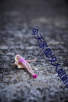 今天家裏沒人姐姐就是你人