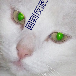 回到反派少年時