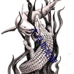 傑克斯帕羅