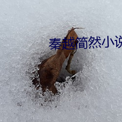 秦越(yuè)简然小(xiǎo)说全集免(miǎn)费阅读