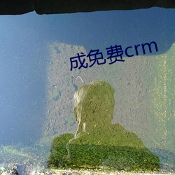 成免费crm