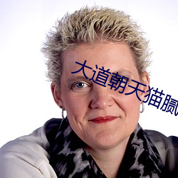 大道朝天猫(māo)腻