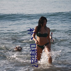 补丶释诰?
