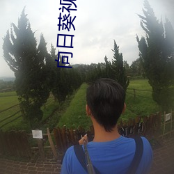 向日葵视频入口