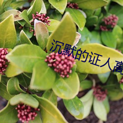 沉默的证人高清 （进贤退愚）