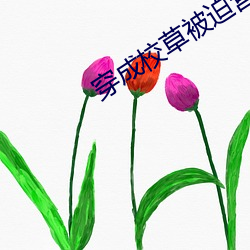 尊龙凯时·(中国)官方网站