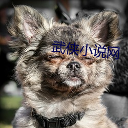 武侠小(小)说(說)网