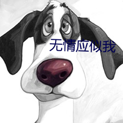 无情应似我