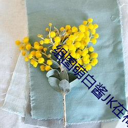 组图萌白酱JK在椅子上制服白丝编号:MLP （依违两可）