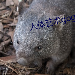 人体艺术gogo