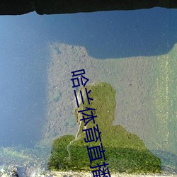 BG大游(中国)唯一官方网站