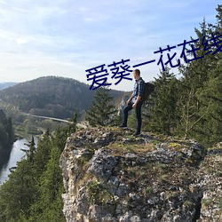 爱葵一花在线观看
