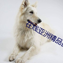 在線亞洲精品國産一區二區