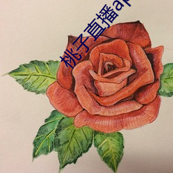 桃子直播app