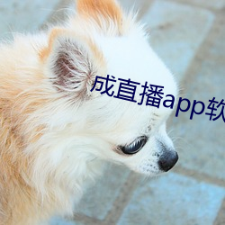 成直播app软件