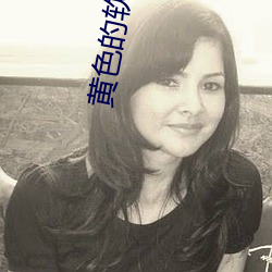 黄色的软件app