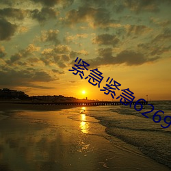 紧急紧急626969