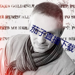 茄子直播下载