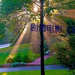 剧情电影《杨思敏新金瓶梅 （九衢三市）
