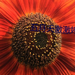 五月天激激婷婷大綜合丁香