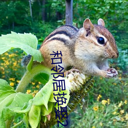 和邻居换娶2 点铁成金）