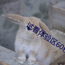 试看体验区(區)60秒