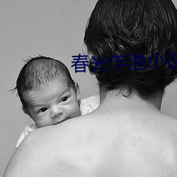 春光乍泄小说