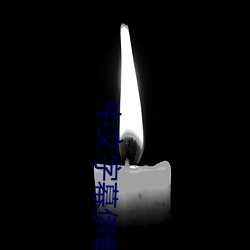 中文字幕伊甸 （交臂失之）