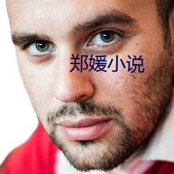 鄭媛小說