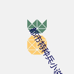 都市特種兵小說