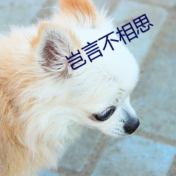 岂言不相思 （海盟山咒