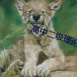 高(gāo)中二级理论