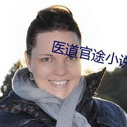 医道官途小说