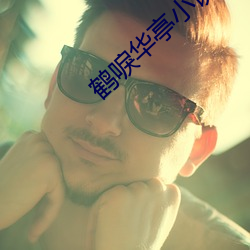 鶴唳華亭小說