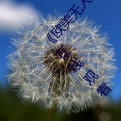 ǲ(й)ٷվ